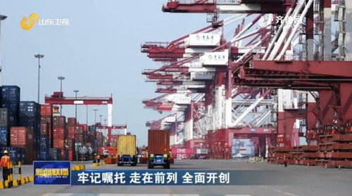 山東推行“船到即提”新模式，以流程再造力促外貿貨物高效流轉