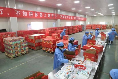 拼多多助力農(nóng)貨文旅破圈出川 四川脫貧攻堅(jiān)的數(shù)字化探索